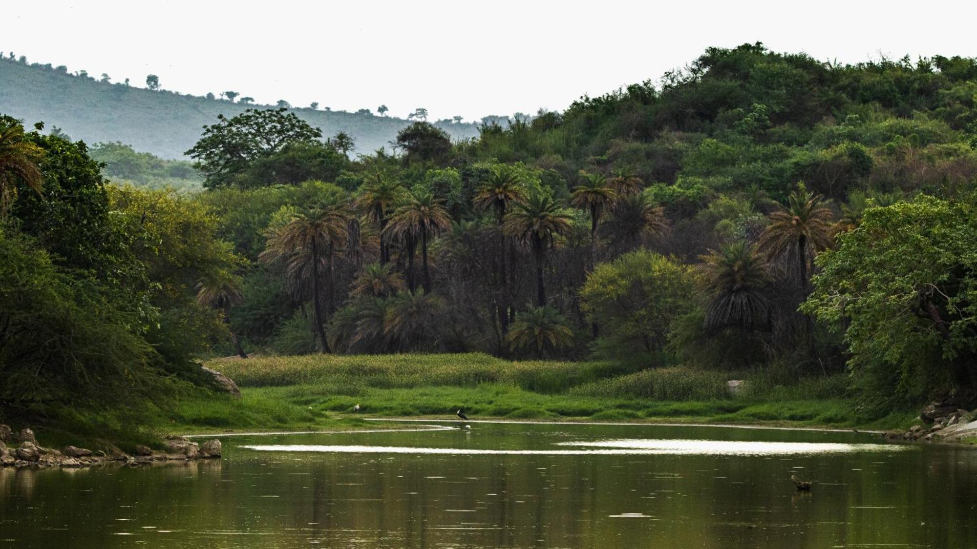 Dera Baghdarrah Nature Retreat Udaipur Exterior photo